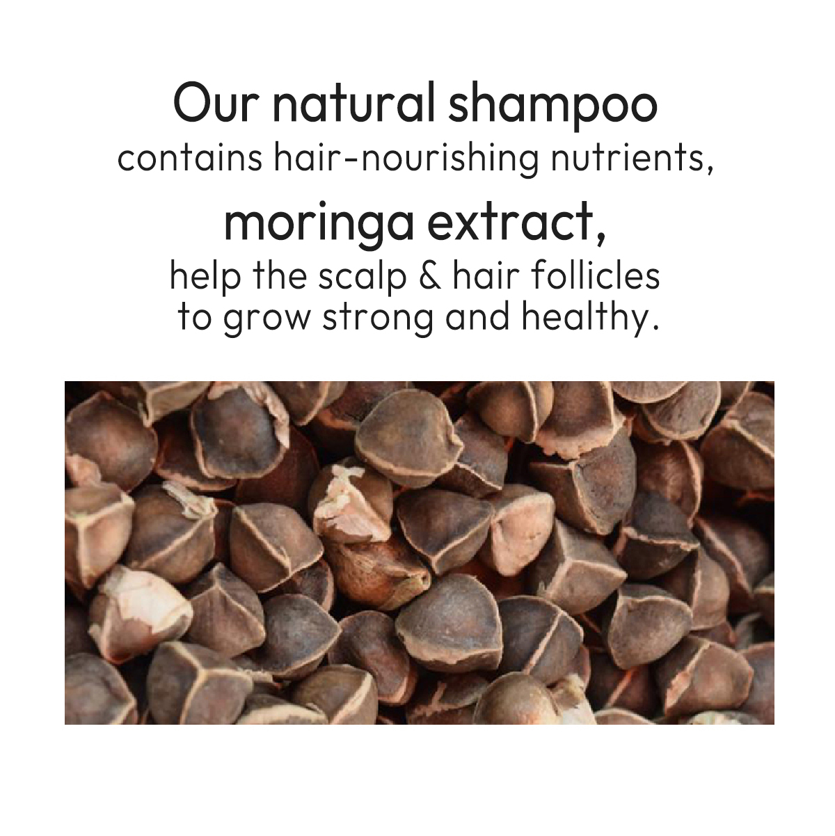 YOGI Moringa Seed Sulfate Free Shampoo Pure Natural Hair Shampoo Manufacturer