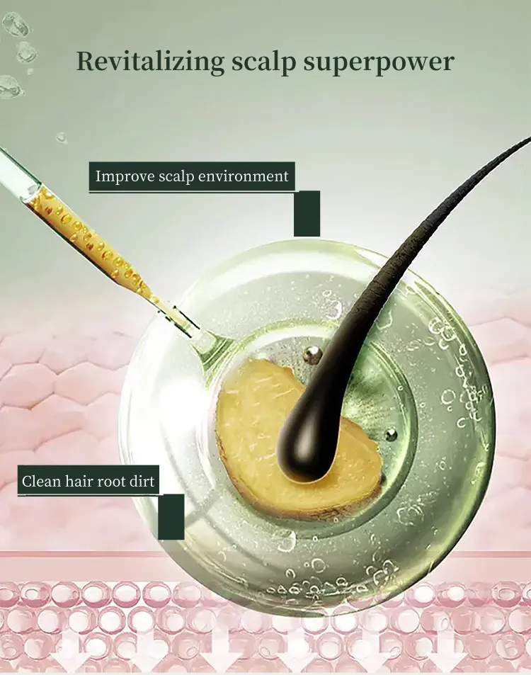 How to Use Shampoo Guide