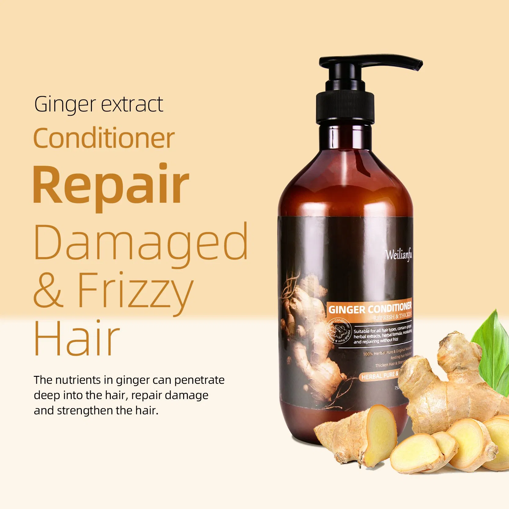 Herbal Ginger Hair Care Shampoo and Conditioner Set Hair Anti-Loss Prevention Hair Growth Strengthens Hair Roots Shampoo