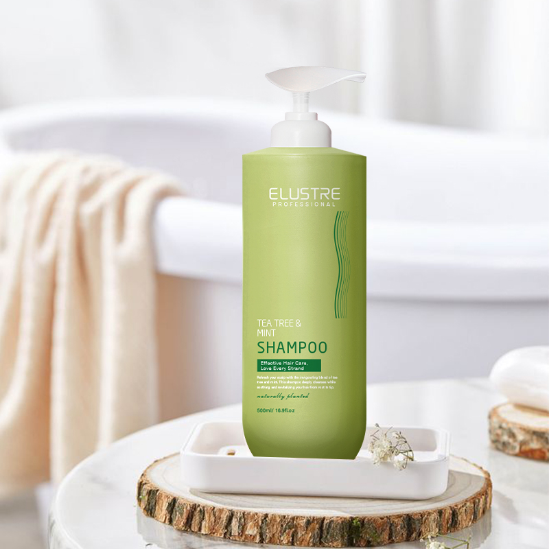Mint Tea Tree Anti-Dandruff Nourishing Shampoo for Salons Spas | Sulfate-Free 2-in-1 Cleanser | OEM Private Label Herbal Hair