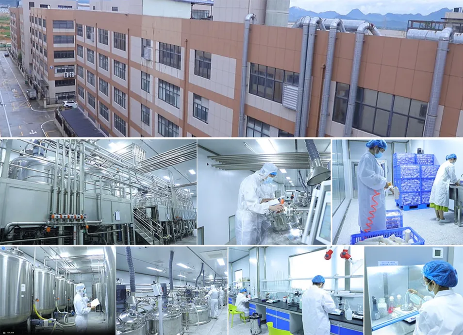 Factory Facility