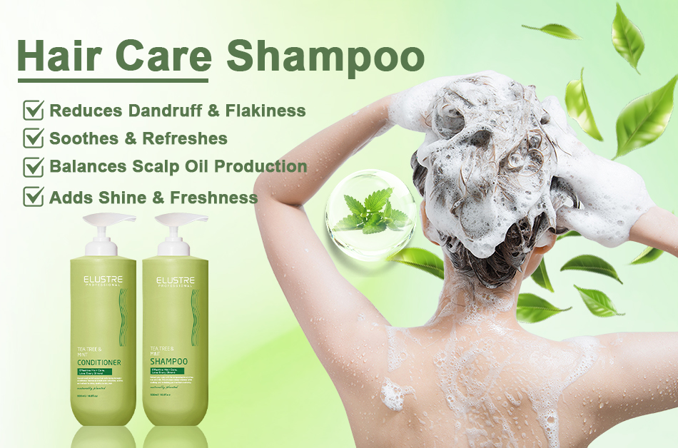 Tea Tree & Mint Hair Care Set