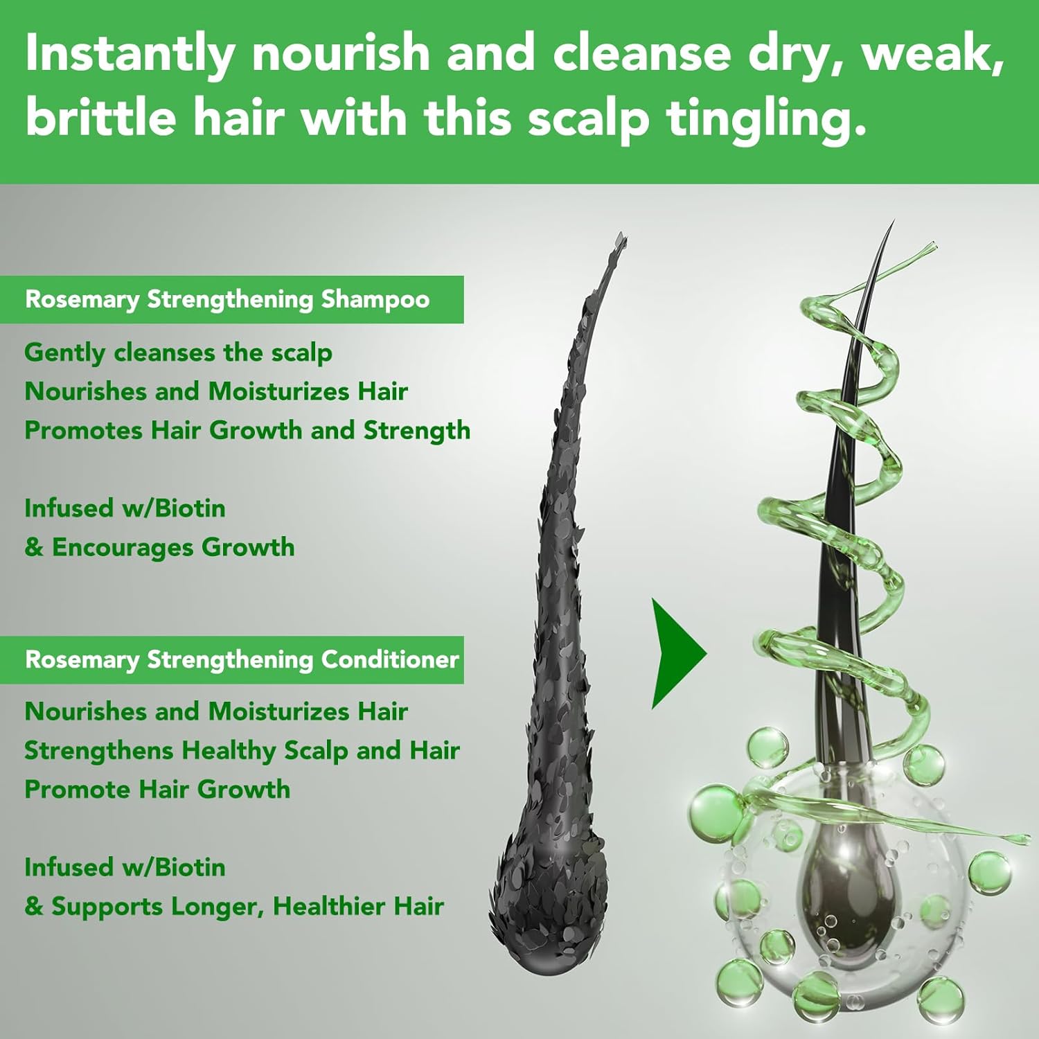 Hot Selling Vegan Organic Cream Moisturizing Nourishing Anti-Hair Loss Shampoo &amp; Conditioner Rosemary for Smooth Hair Growth