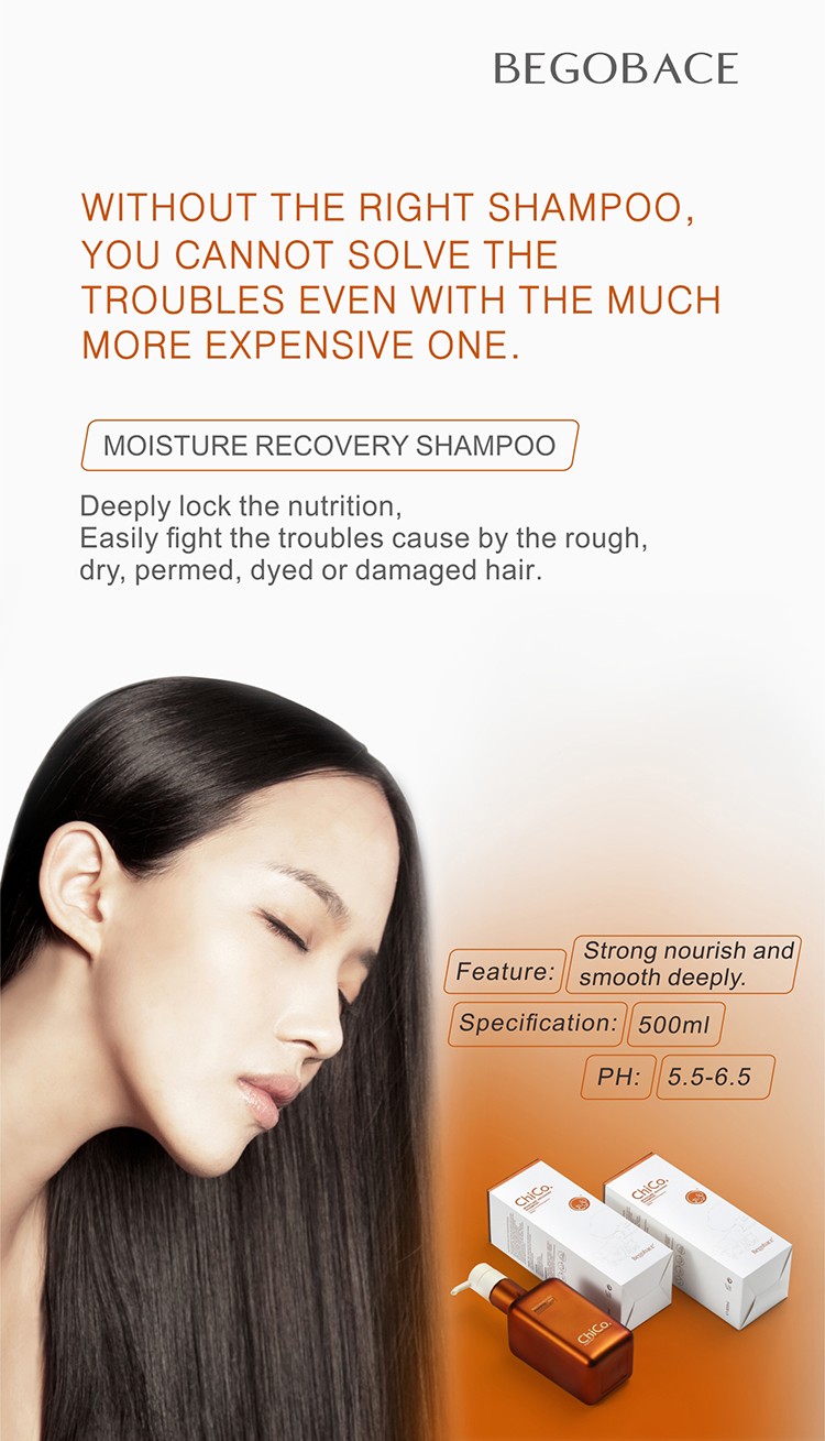 Product Description 3