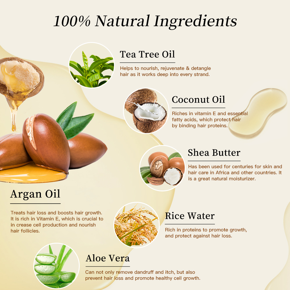 Private Label Repair Shampoo Vegan Organic Natural Argan Oil Rice Water Tea Tree Hair Growth Hair Care Shampoo and Conditioner