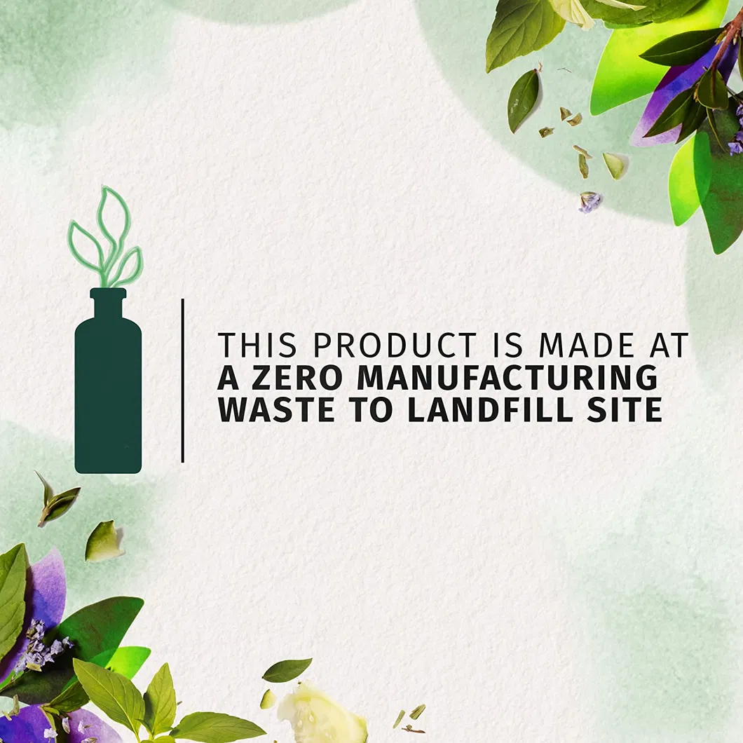 Hair Smooth Wholesale Sulphate Free Green Tea Shampoo