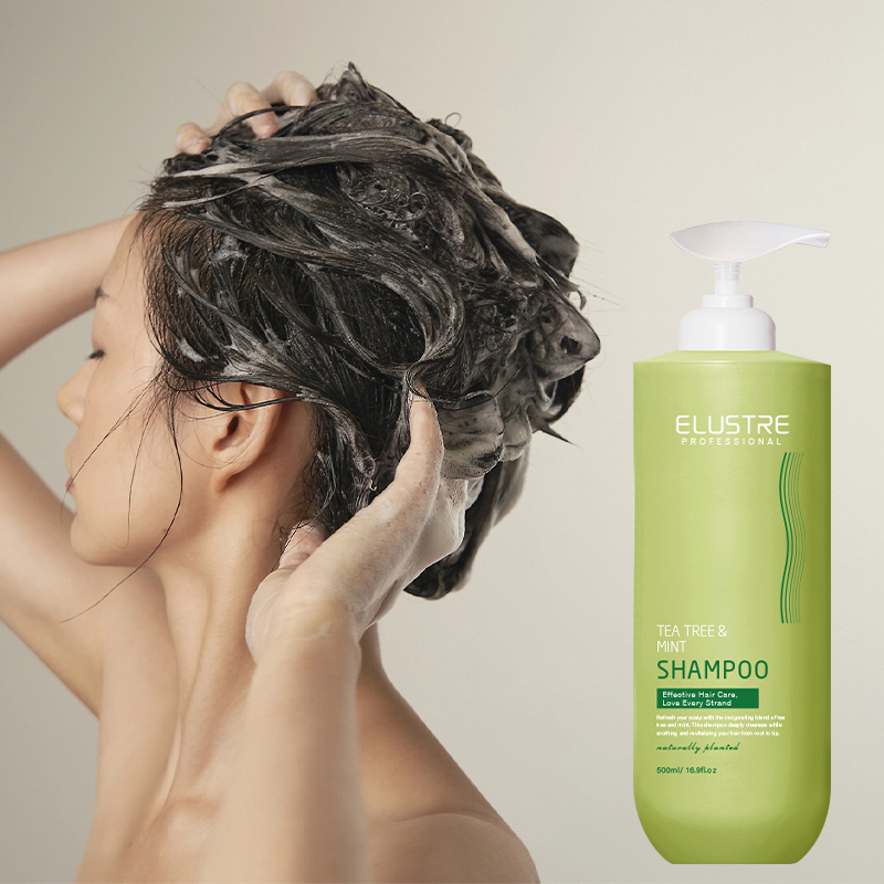 Mint Tea Tree Anti-Dandruff Nourishing Shampoo for Salons Spas | Sulfate-Free 2-in-1 Cleanser | OEM Private Label Herbal Hair