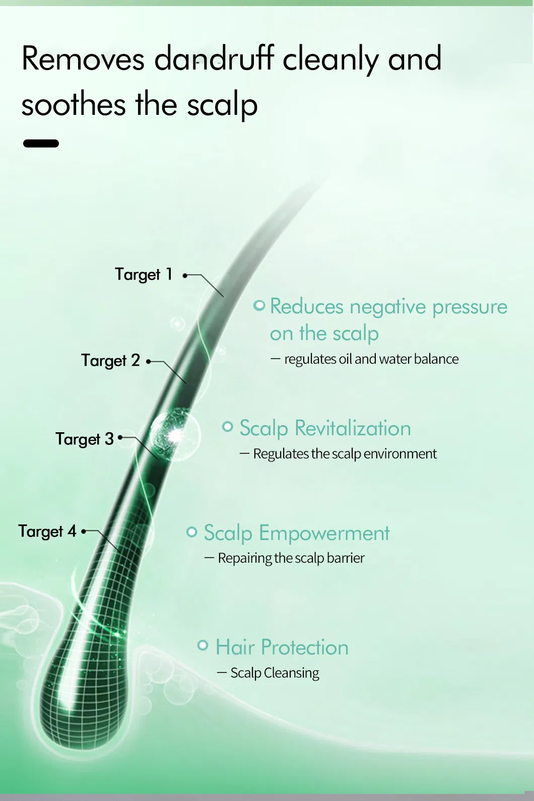 Hair Shampoo Details 3