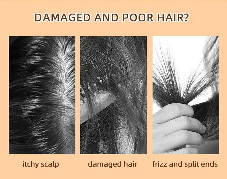 Sulfate-Free Argan Oil Shampoo for Color-Treated and Damaged Hair