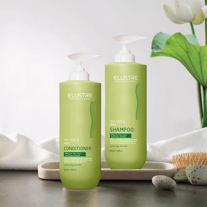 Mint Tea Tree Anti-Dandruff Nourishing Shampoo for Salons Spas | Sulfate-Free 2-in-1 Cleanser | OEM Private Label Herbal Hair