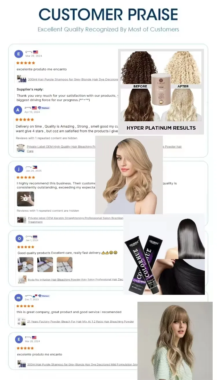 Client Review Chat Screenshot 1