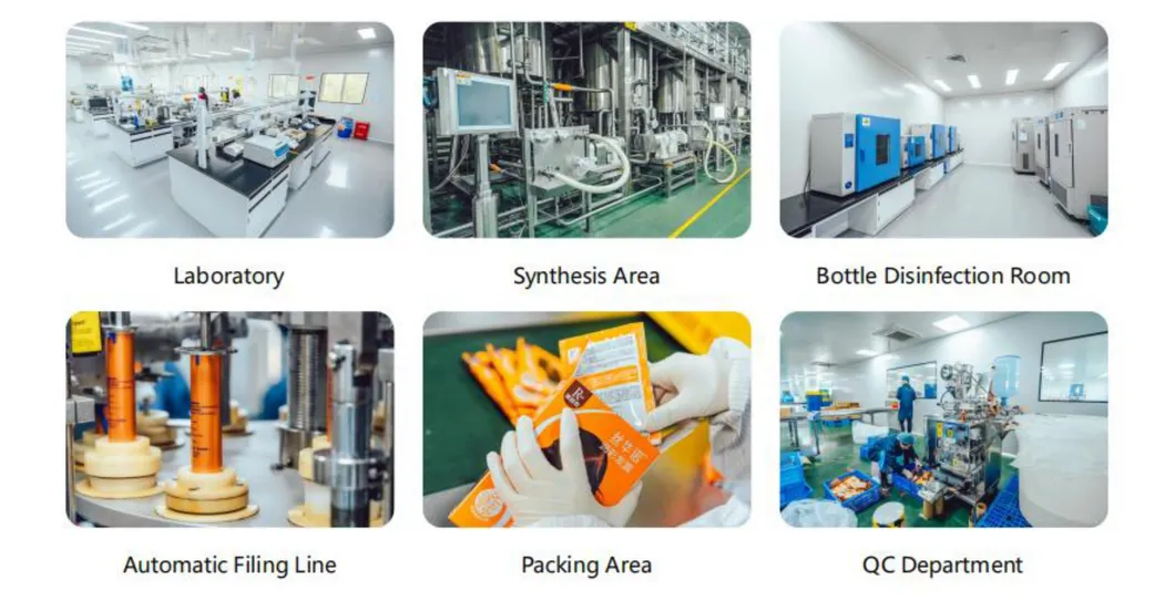 Production Process