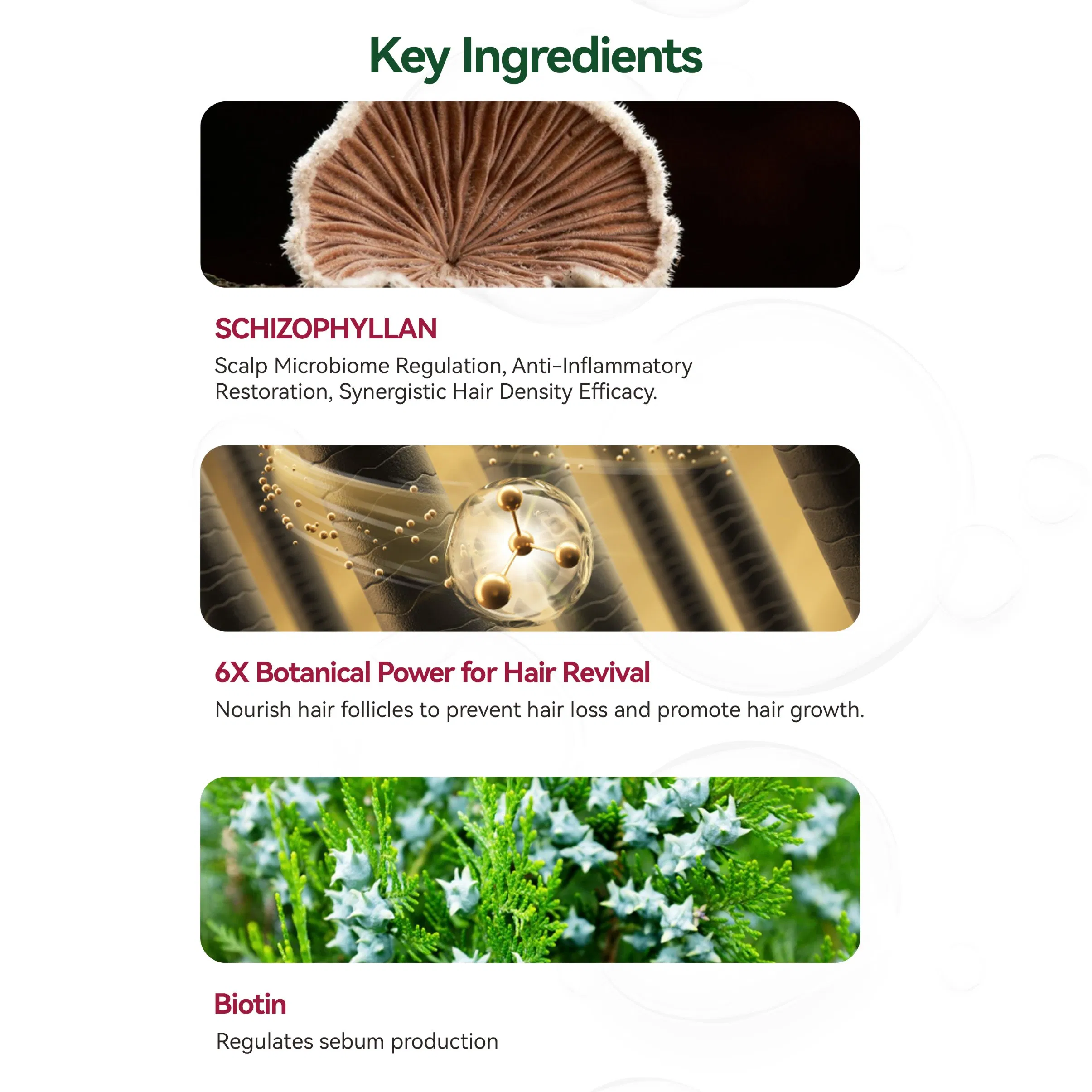 Beaver Natural Herbal Hair Care Growth Biotin Ginseng Anti Hair Loss Shampoo