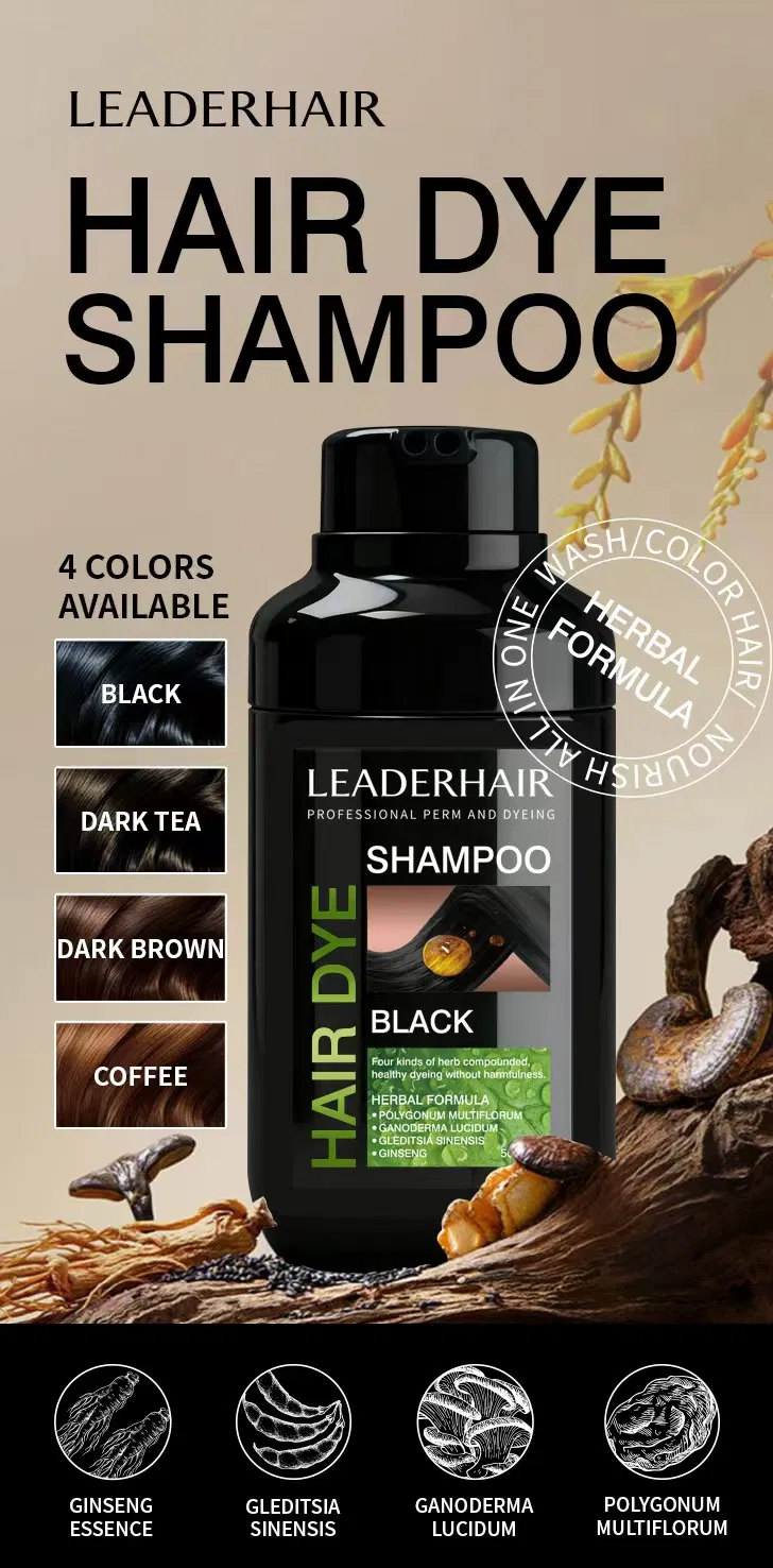 Black Hair Dye Shampoo