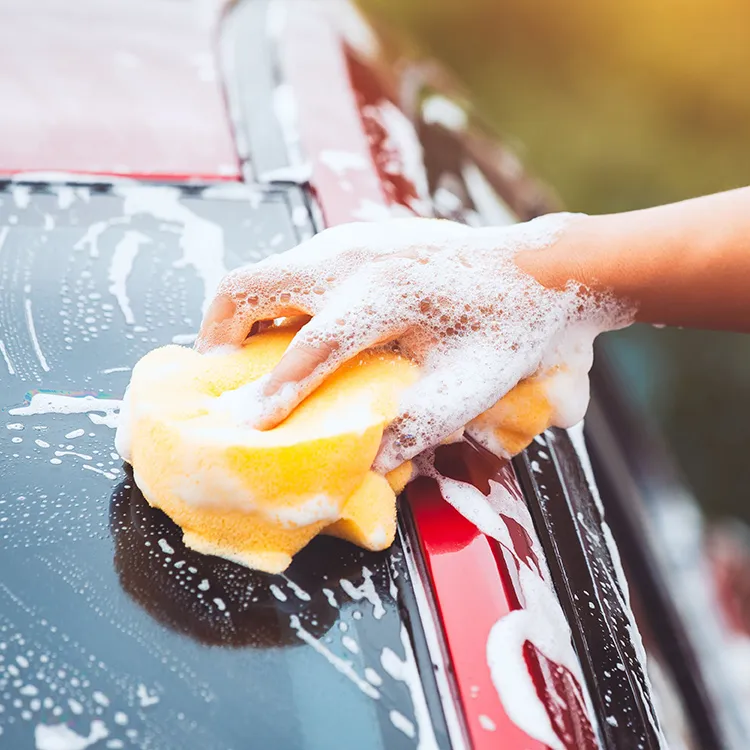 Lamboss Private Label Car Wash Shampoo and Wax in One