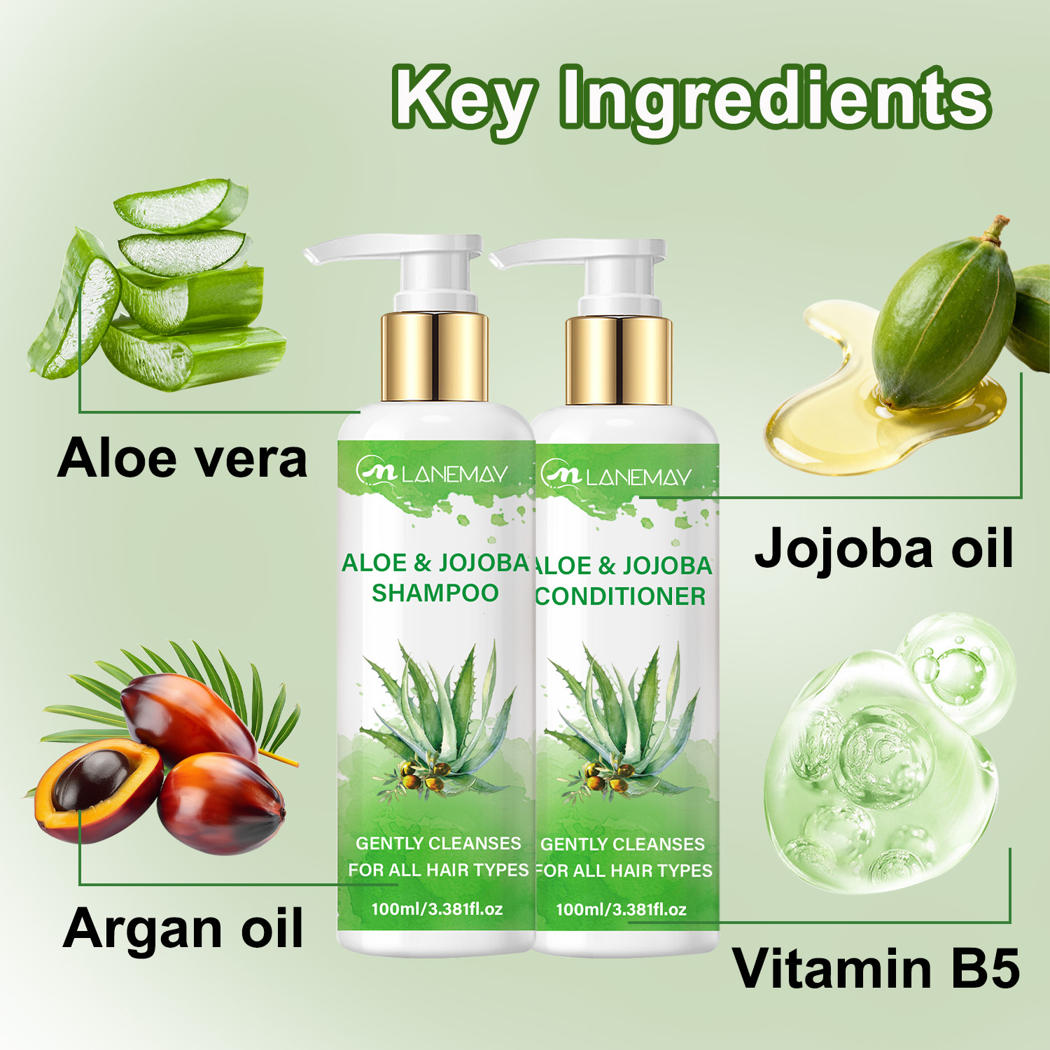 Hot Sale Aloe Vera Purifying Shampoo and Conditioner Oil Control Anti Dandruff Shampoo Moisturizing Aloe Vera Hair Care Sets