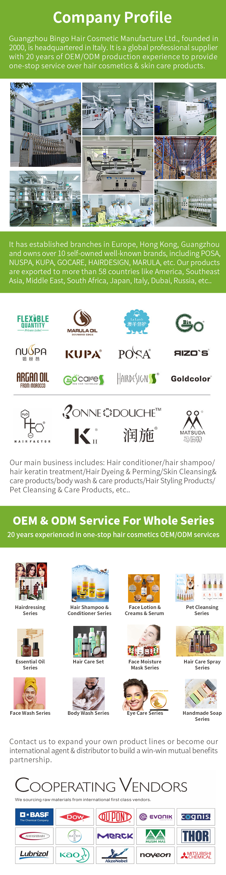 Company Showcase 1