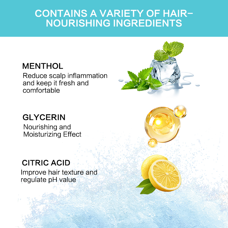 Hot Selling High-quality Proprietary Brand Natural Organic Anti-Dandruff Anti-Itch Moisturizing Fluffy Refreshing Shampoo