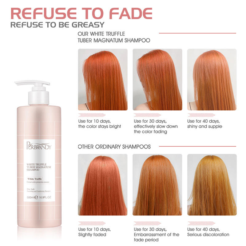 In Stock Hair Salon Care Products Color Protection &amp; Moisturizing Hair Shampoo