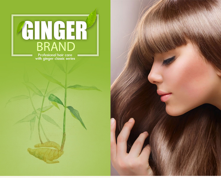 Professional Salon Hair Shampoo Anti Dandruff Moisturizing and Repair Shampoo