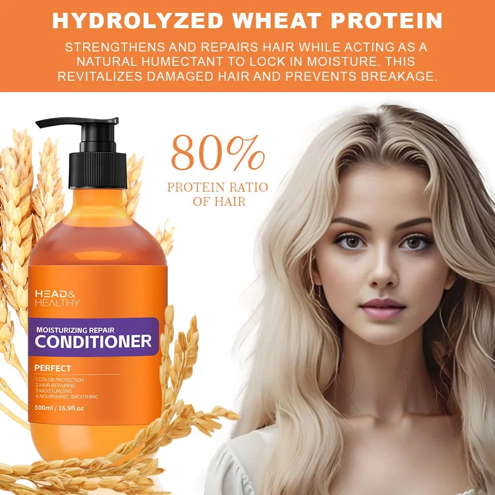 Anti-Dandruff/Oil Control/Anti-Shedding Shampoo, Conditioner, Keratin Hair Mask, Essential Oil Hair Care Set