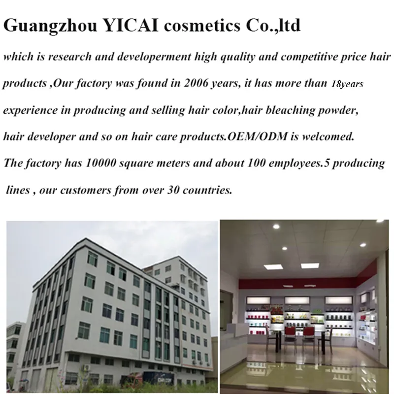 Factory Overview 1