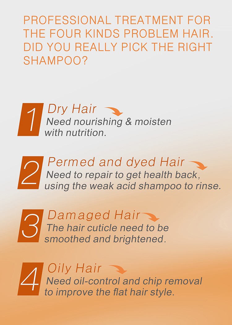 Product Description 2
