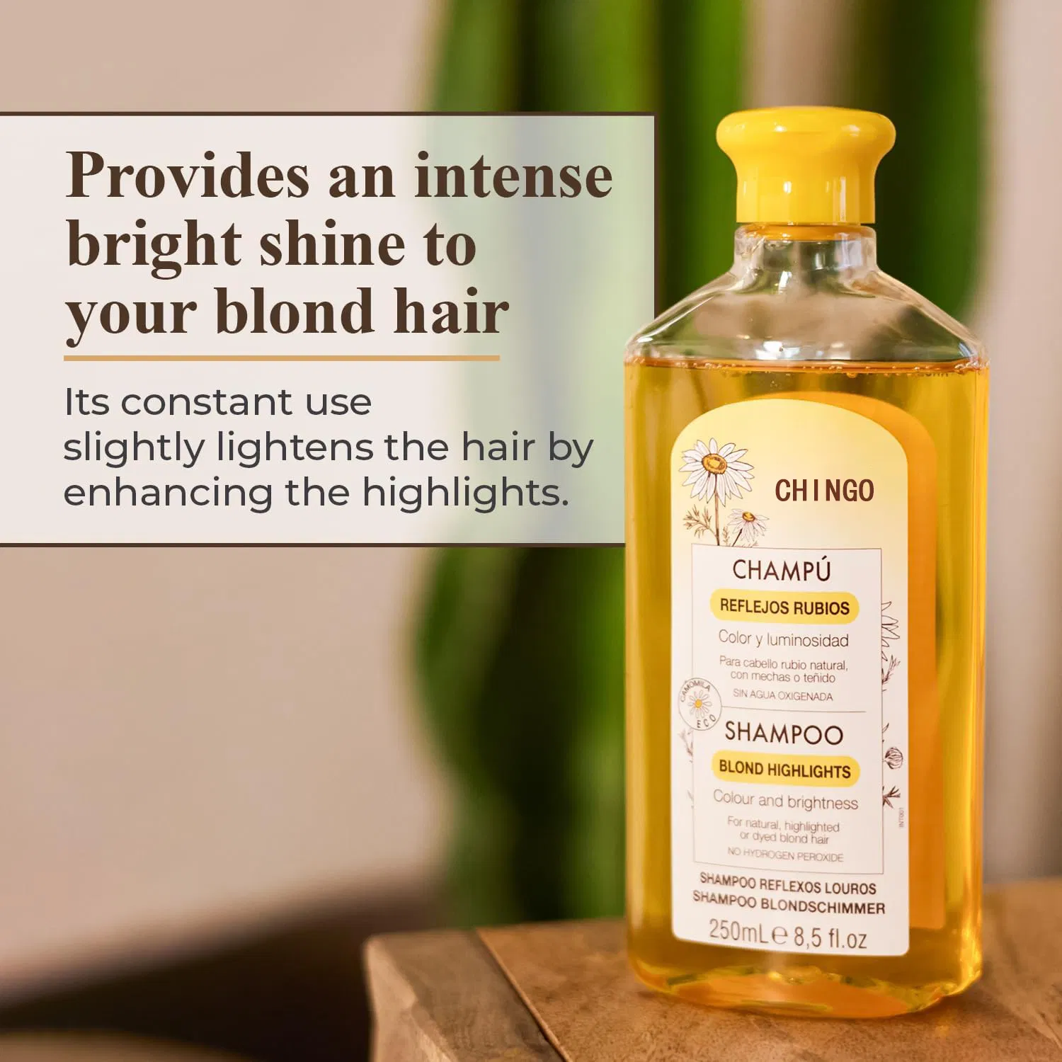 Shampoo Details