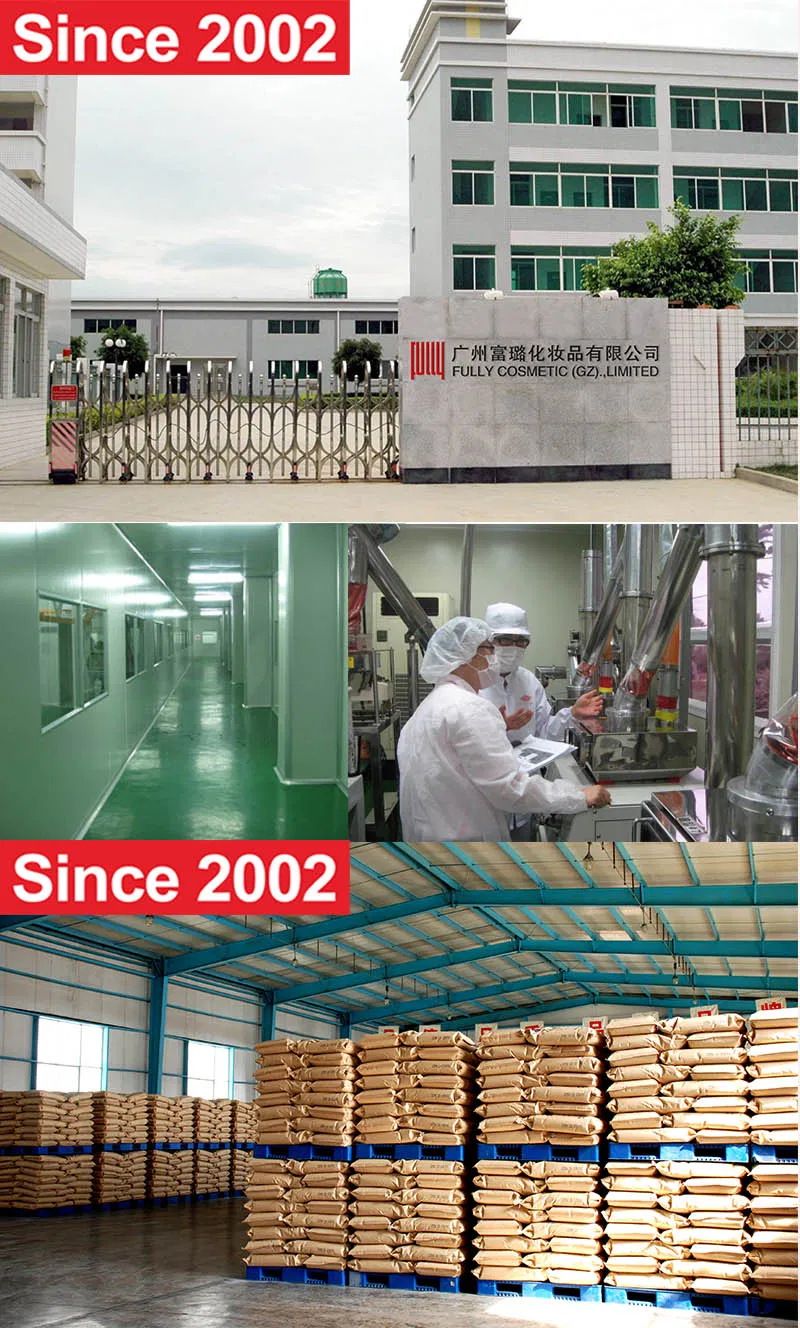 Large-scale GMPC Factory Showroom