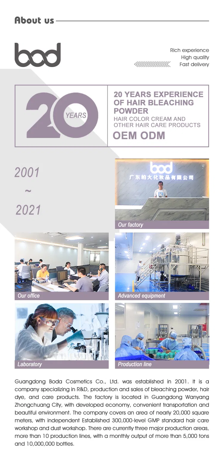Company overview 1