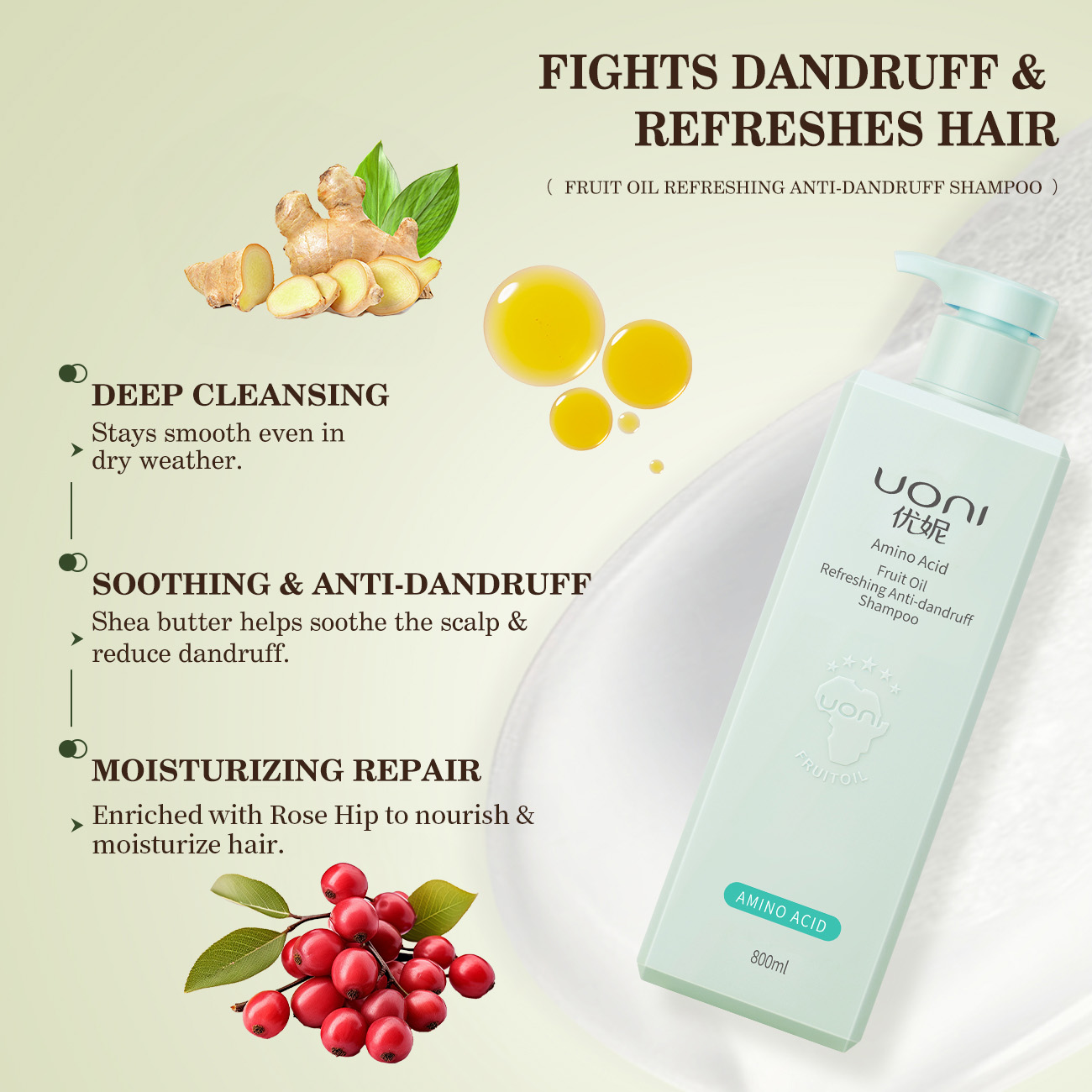 Daily Hair Clean Anti Dandruff Shampoo Plant Extract Moisturizing Shampoo Organic Sulfate Free Kids Hair Care Set for Home Use