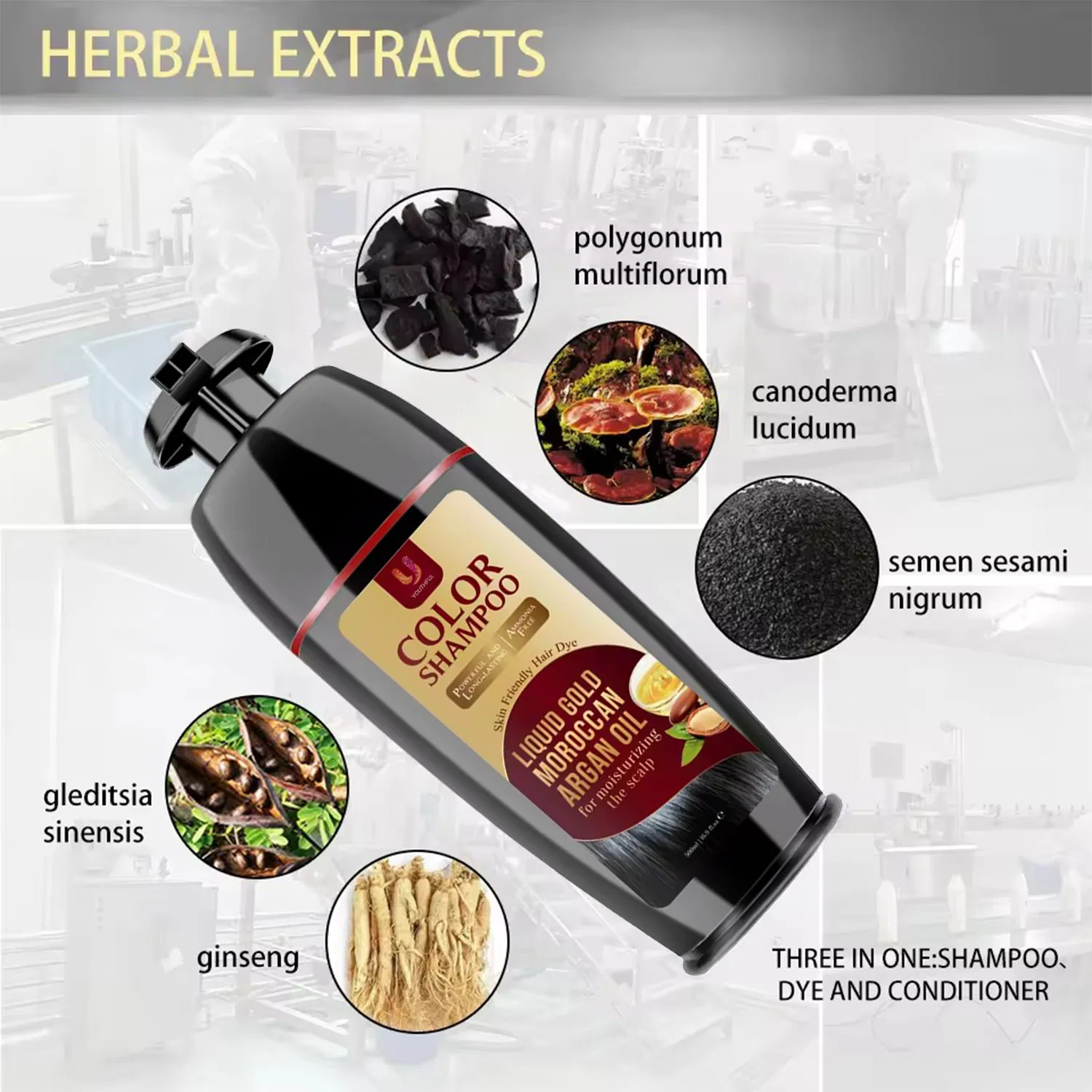 Hot Selling 6 Coloring Dye Permanent Herbal Fast Black Hair Shampoo