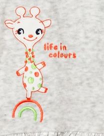 Spring/Autumn Hoodie with Giraffe Embroidery Skirt with DOT Print Hem for Girls