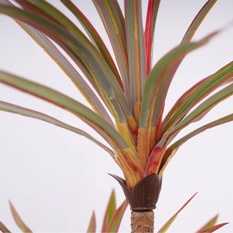 Wholesale Highly Recommended H60cm Artificial Dracaena marginata PEVA Realistic Texture for Garden Balcony Living Room Manufacturers, Factories