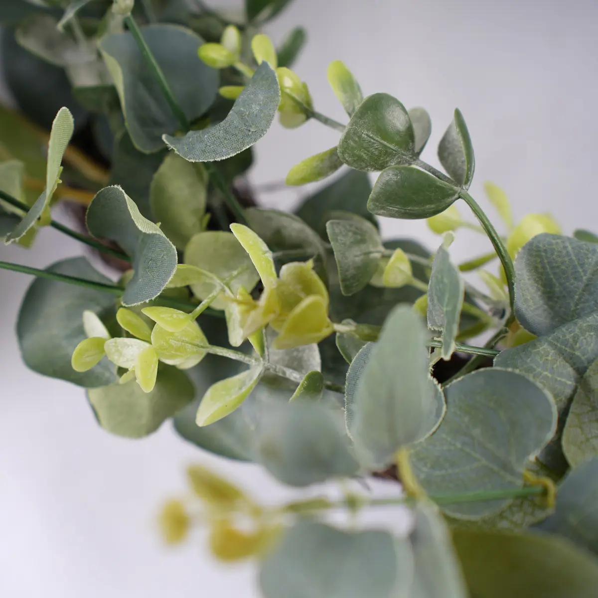 Wholesale Hot Sale Dia.40cm Rattan Grass Ring Eucalyptus Wreath Real Rattan Christmas Garden Decoration Artificial Flowers for Gardens Suppliers, Factory