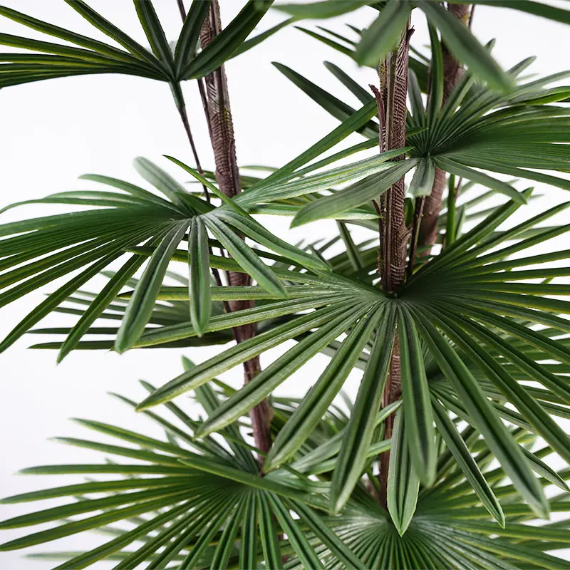 Wholesale Highly Realistic Plastic Fan Palm 210cm 3 Branches 59 Leaves Low Maintenance Decor Manufacturer, Suppliers