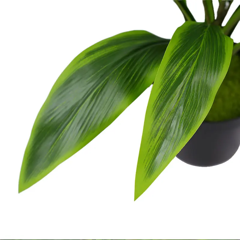 Artificial Cordyline Fruticosa Detail