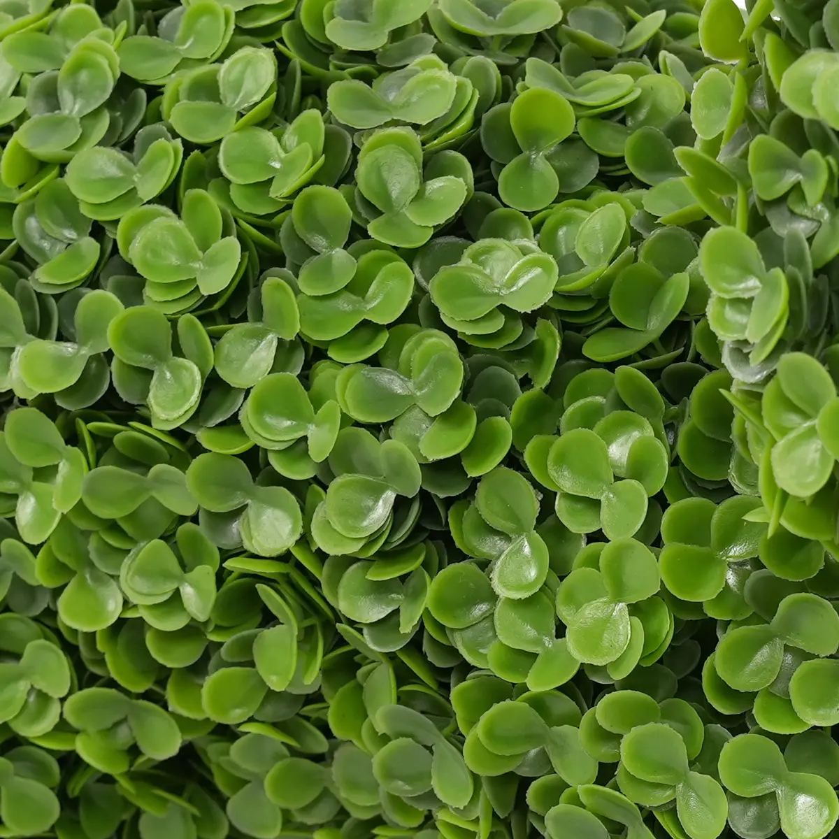 Wholesale Elegant 36cm Boxwood Dog Statue Outdoor Garden Ornament Adding Charm to Your Space Factories, Factory