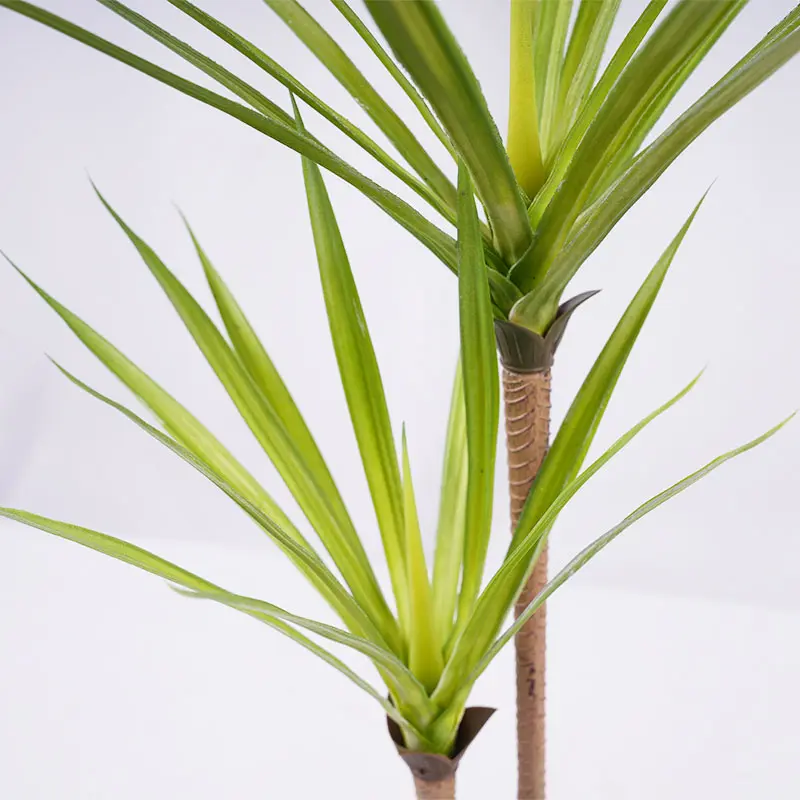 China Artificial Dracaena Plant White Green Plastic 60cm 2 Heads 30 Leaves Potted Fake Greenery Indoor Home Decor Office Decoration Plant Manufacturer, Manufacturers
