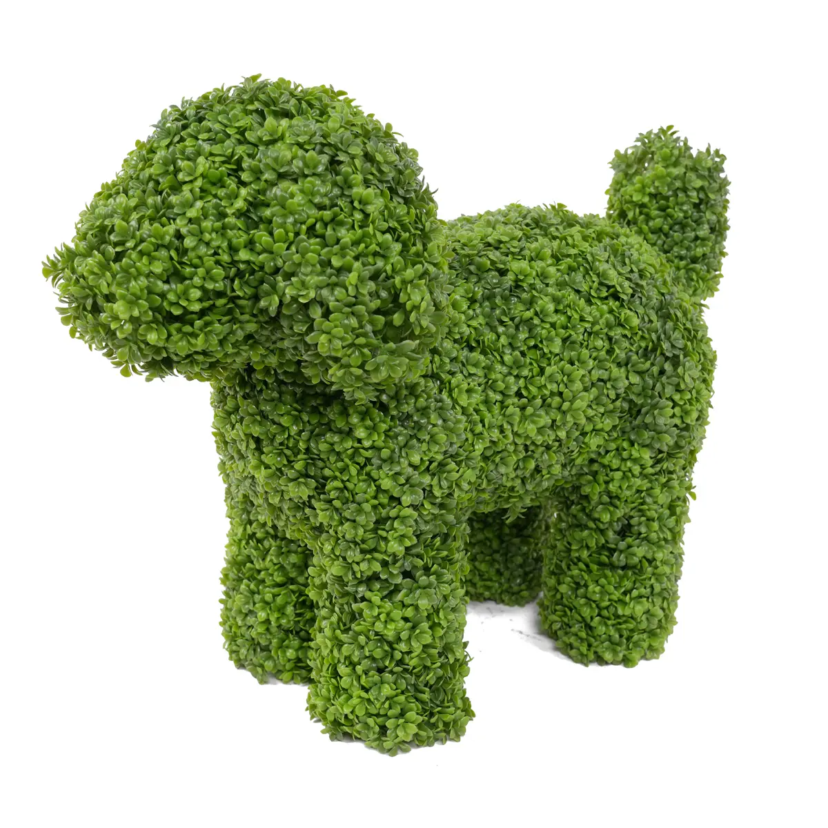 China Elegant 36cm Boxwood Dog Statue Adding Charm to Your Outdoor Space-Garden Ornament Manufacturers, Factory