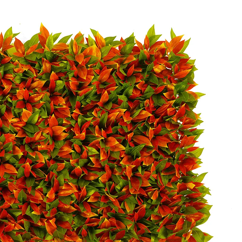 Photinia Hedge Detail