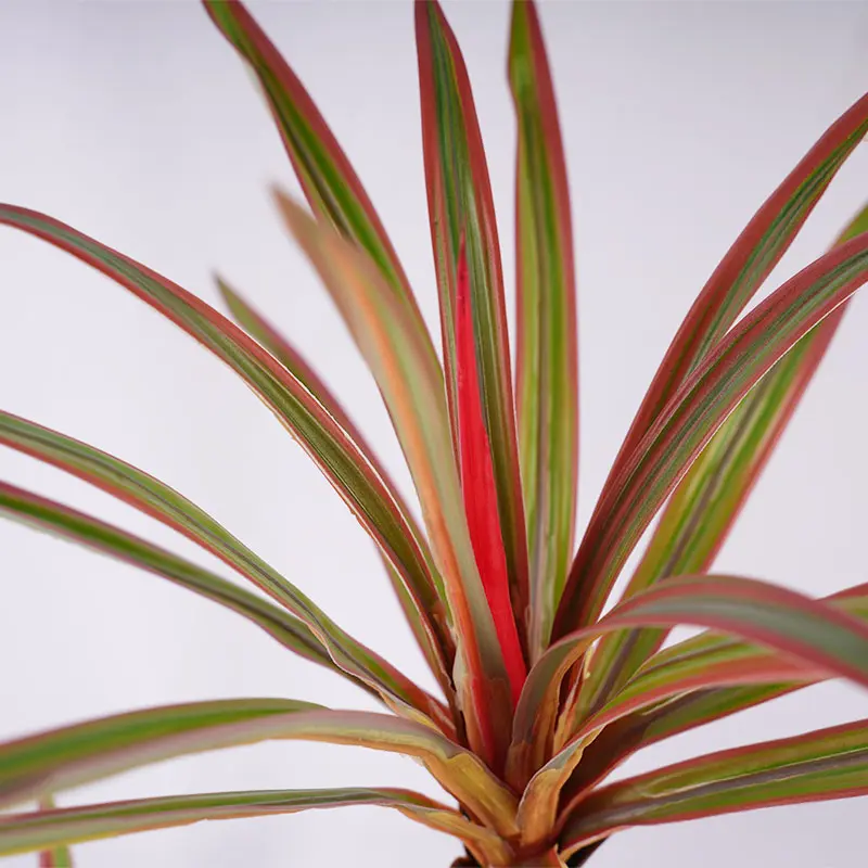 Wholesale Customized H90cm Potted Dracaena marginata Artificial Plants Tree PEVA Leaf 3 Stems and 45 leaves home Decoration Manufacturer, Factories