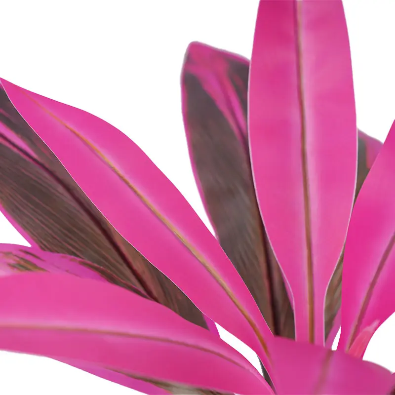 China Artificial green plants H50cm Cordyline fruticosa leaves in pot Purple green Hyper Realistic Manufacturers, Factories