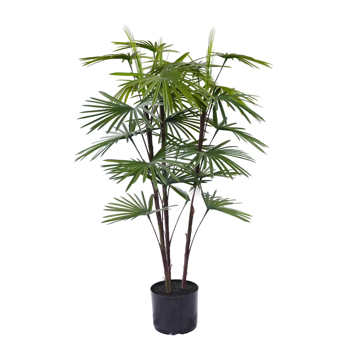 China Hot Selling Beautiful Bonsai Tree Indoor and Outdoor Artificial Kwai Plastic Plant for Home or Garden Manufacturers, Suppliers