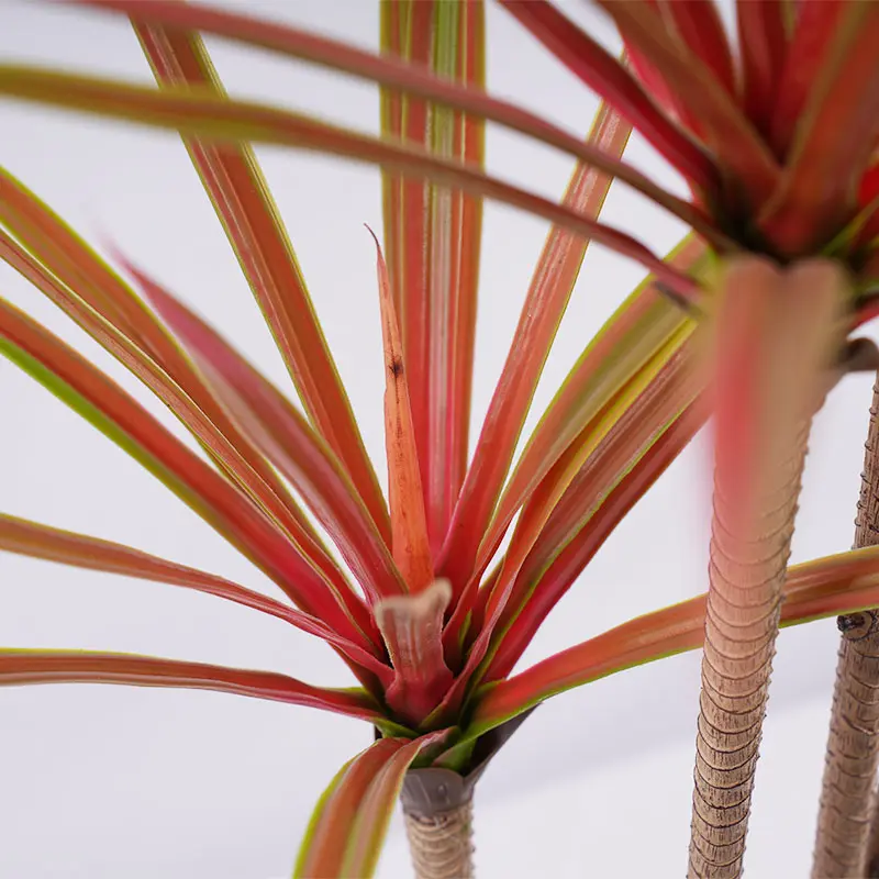Wholesale Gardening plants H120cm Detachable Red Green Dracaena 4 Stems 90 Leaves Plastic Greenery Modern Space Decor Easy to Assemble Manufacturer, Supplier