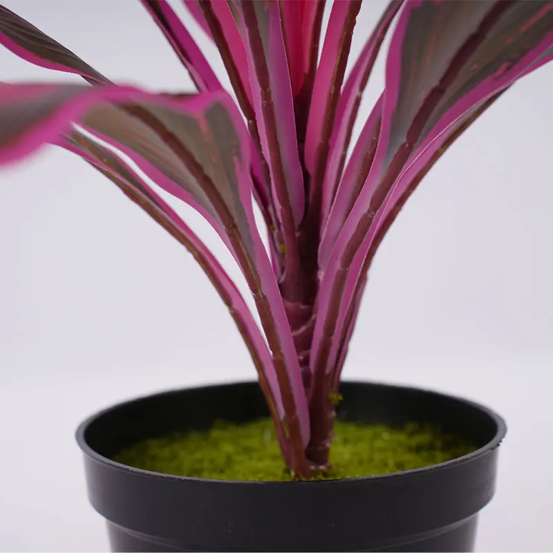 Wholesale Factory direct sales H43cm Cordyline fruticosa leaves in pot Purple green healing style Supplier, Factories