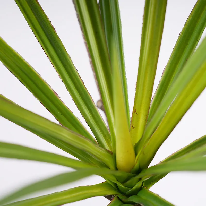 China Artificial Green Plant Pot Detachable H185cm Plastic Dracaena 7 Stems 162 Leaves Green Decoration Manufacturer, Suppliers