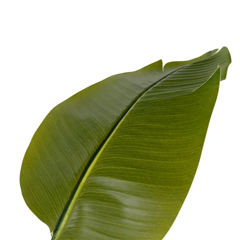 Wholesale High Quality Artificial Tree Banana Plant For Indoor Decoration Manufacturer, Manufacturers