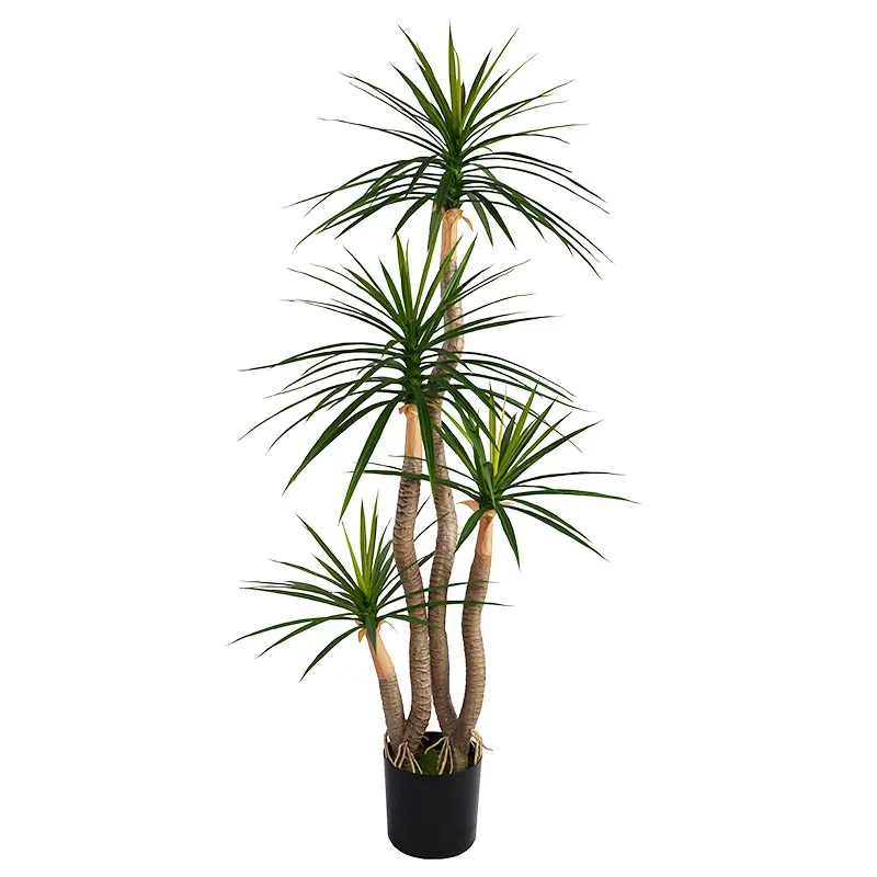 Wholesale Decorative plants H155cm Green Plastic Dracaena with Two Stems  Four Heads and 156 Leaves Potted Plant Suitable for Indoor and Outdoor Use Supplier, Factory