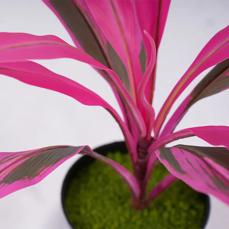 China Artificial green plants H40cm Cordyline fruticosa leaves in pot Purple green Gardening supplies Manufacturer, Factories